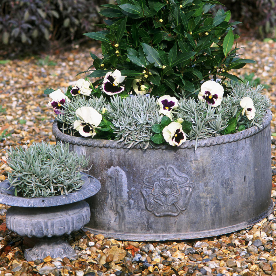 Use gravel for an informal and secure front garden