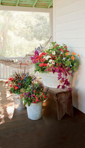 Take advantage of seasonal sales at your local nursery, and stock up on popular plants. Keep them in fun containers like these galvanized buckets until you&#39;re ready to plant them in the ground.See the <a href="https://www.pinterest.com/pin/242842604885659688/" data-component="link" data-source="inlineLink" data-type="externalLink" data-ordinal="1">Pin</a>.