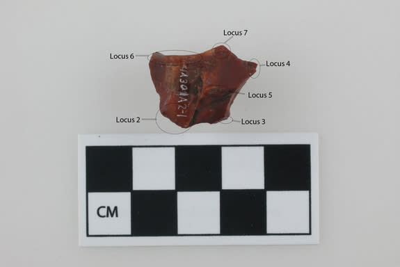 This jasper fire starter was found in 2008 only 33 feet (10 meters) away from a Norse hall at L’Anse aux Meadows, the only Norse settlement in the New World.