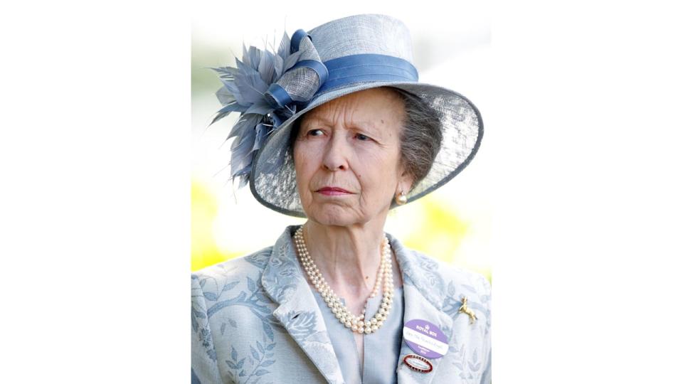 Princess Anne left hospital a week ago and has been recuperating at her Gatcombe home