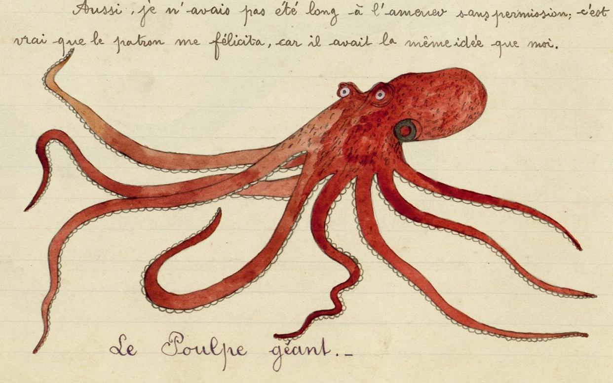 Giant octopus drawn by the fisherman-artist Paul Émile-Pajot (1873-1929) - The Sea Journal