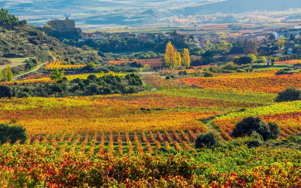 Rioja vineyards palaces convents towers cathedrals world heritage sites tourist free summer travel 2022 spain europe - Getty