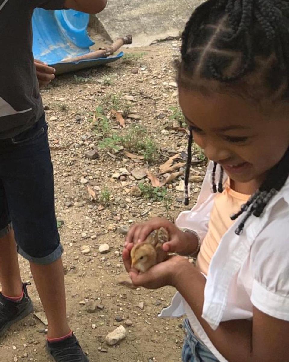 Kulture Playing with a Duck