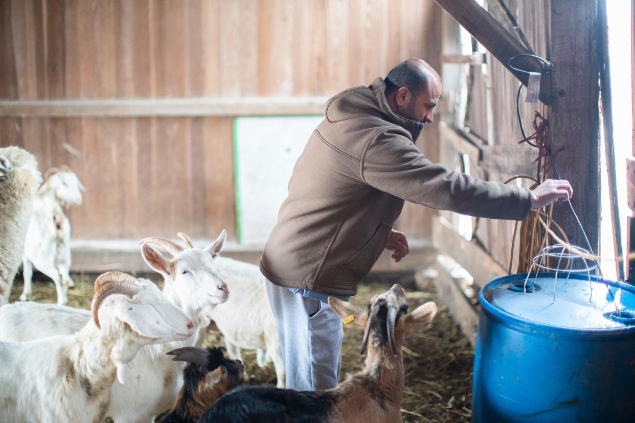 Amjad Ashnawi, an Iraqi refugee, works Wednesday at a Marysville farm he owns with his wife and children.