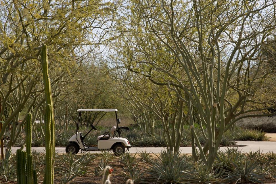 A golf cart awaits passengers at The Annenberg Retreat at Sunnylands, Rancho Mirage, Calif., where President Barack Obama is playing golf according to White House officials, on Saturday, Feb. 15, 2014.With two stays in less than a year at the sprawling Sunnylands estate in Southern California, President Barack Obama is helping to fulfill the dream of the late philanthropists Walter and Leonore Annenberg, who hoped the property they used as a winter home would become the “Camp David of the West.” (AP Photo/Jacquelyn Martin)