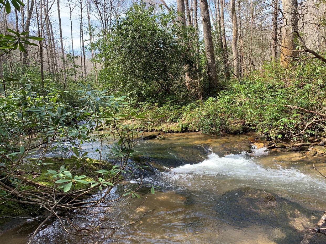 The almost 700 acres of land include Cathey's Creek.