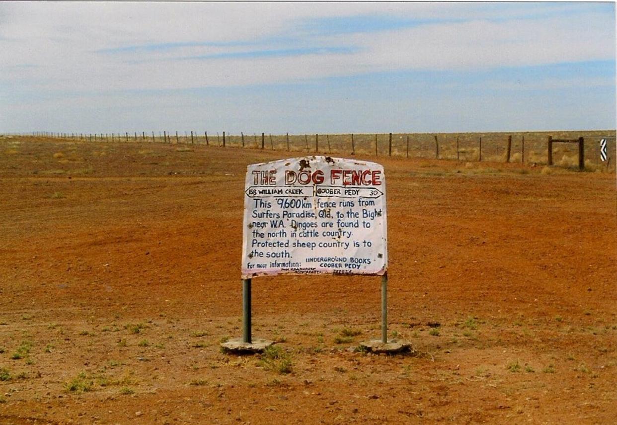 <span class="caption">Australia's dingo fences, built to protect livestock from wild dogs, stretch for thousands of kilometers.</span> <span class="attribution"><a class="link " href="https://commons.wikimedia.org/wiki/File:Dog_Fence_(dingo_fence)_on_the_William_Creek_Road_between_Coober_Pedy_and_William_Creek,_South_Australia.jpg" rel="nofollow noopener" target="_blank" data-ylk="slk:Marian Deschain/Wikimedia;elm:context_link;itc:0;sec:content-canvas">Marian Deschain/Wikimedia</a>, <a class="link " href="http://creativecommons.org/licenses/by-sa/4.0/" rel="nofollow noopener" target="_blank" data-ylk="slk:CC BY-SA;elm:context_link;itc:0;sec:content-canvas">CC BY-SA</a></span>