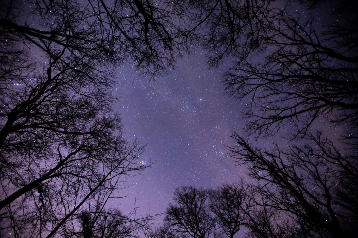 Dr. T.K. Lawless County Park in Vandalia, which has international dark sky status, will open for a concert and Perseid meteor watching this week.