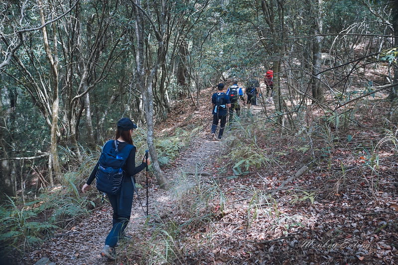 谷關七雄｜波津加山