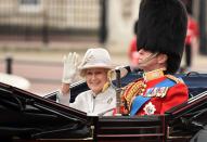 <p>Alexandra waved to the crowds during Trooping the Colour 2014. Next to her in the carriage is her brother, the Duke of Kent.</p>