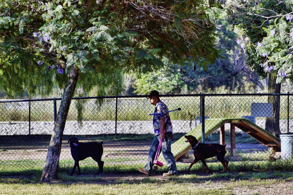 A dog owner walks in a tree shade in the early morning on Wednesday, July 12, 2023, in Los Angeles. (AP Photo/Richard Vogel)