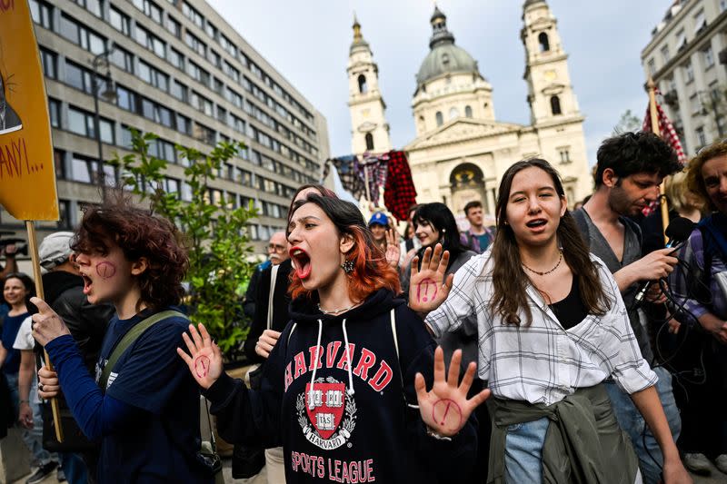 : Protest against Hungarian government's 'Status Law’ in Budapest