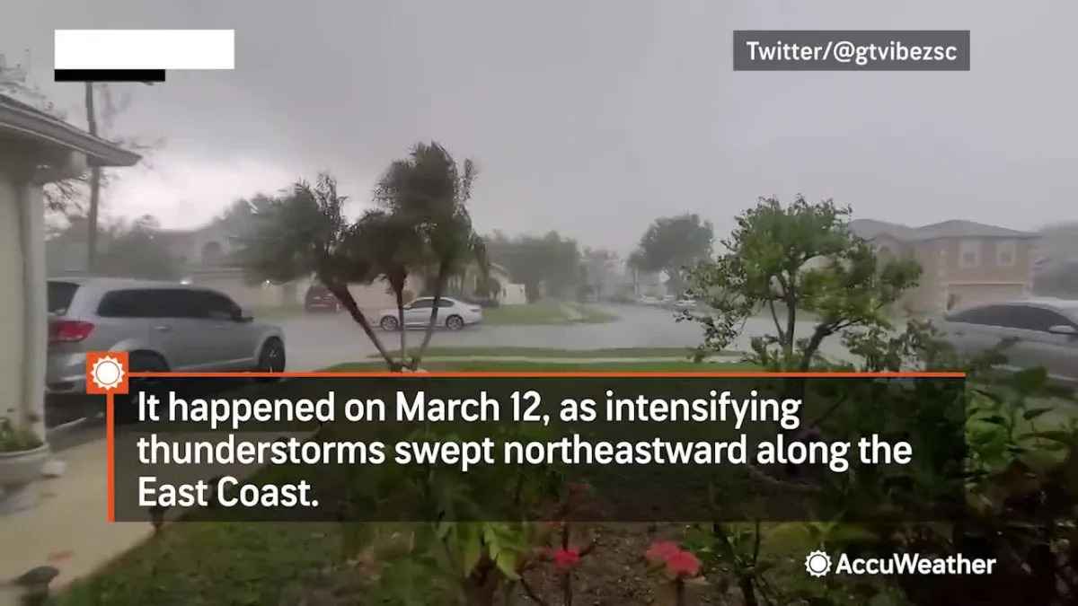 Intense winds blow cargo off a truck, crushing a South Carolina police car