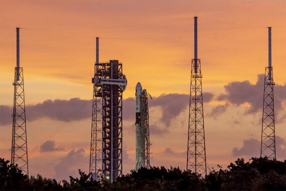 The Crew 9 Dragon awaiting launch atop a SpaceX Falcon 9 rocket on pad 40 at the Cape Canaveral Space Force Station. / Credit: SpaceX