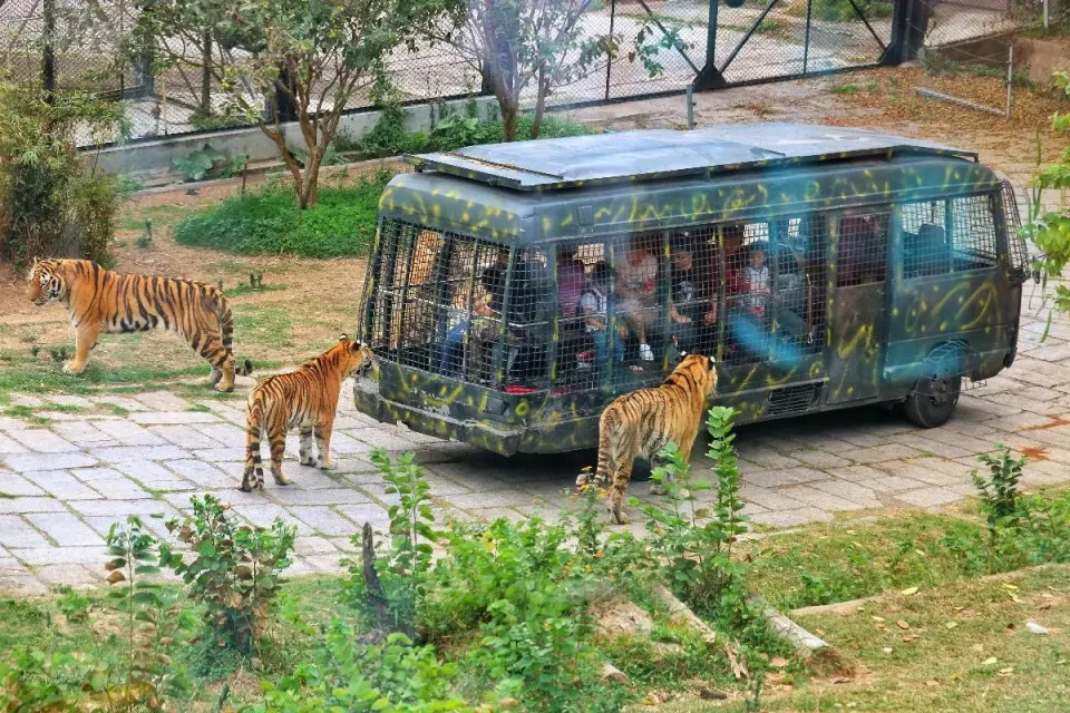 北上好去處｜深圳/廣州/珠海景點門票優惠低至半價 野生動物園$99/熱雪奇蹟滑雪場$232起