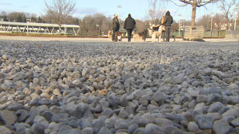 Pooches, owners turn up noses at newly renovated Leslieville dog park