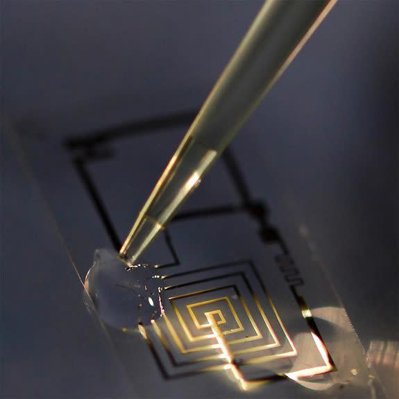 A biodegradable electronic circuit begins to dissolve in a drop of water.