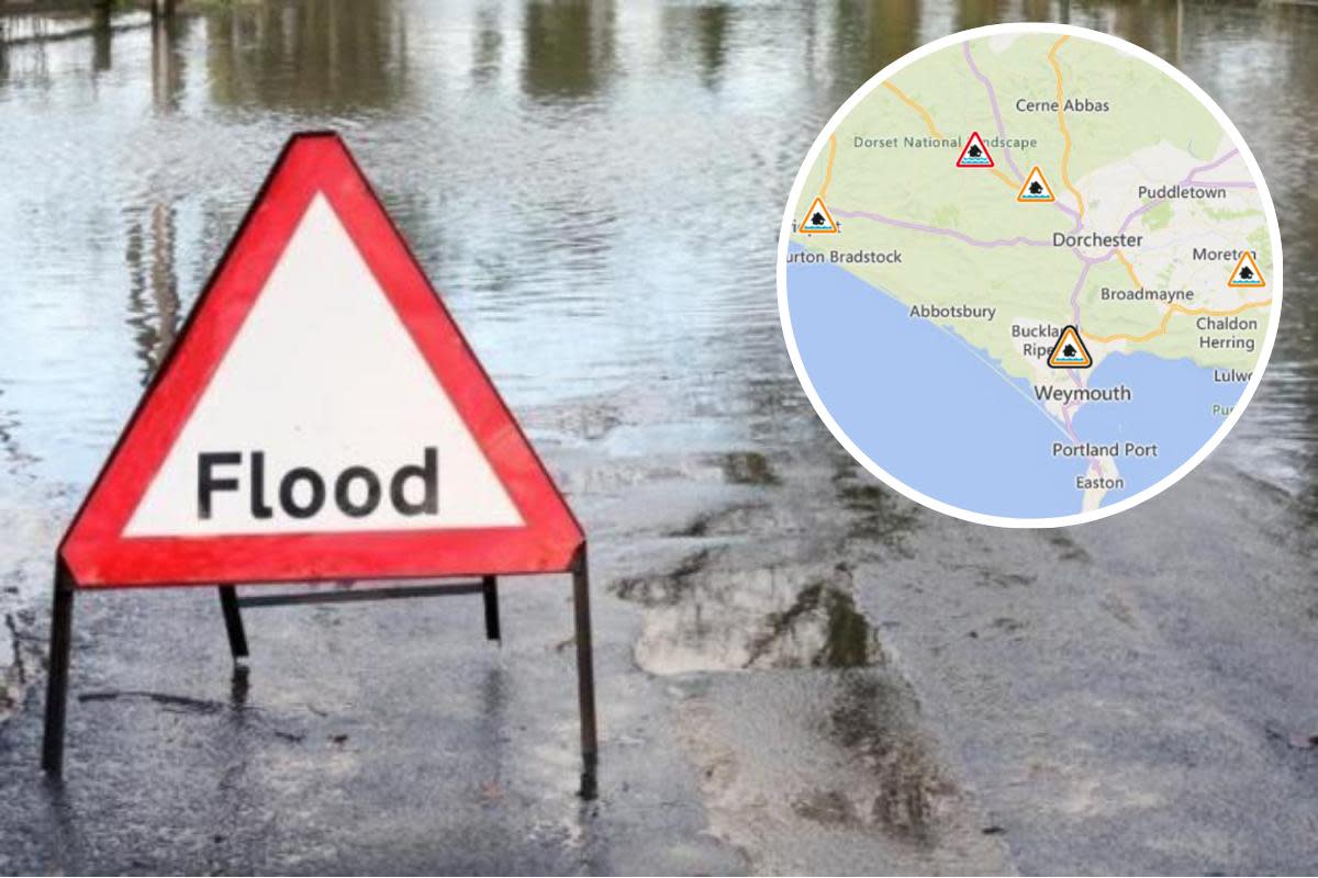 Flood alerts in place across Dorset <i>(Image: Environment Agency/ Martini Archive)</i>