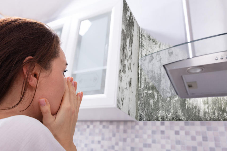 A woman holds her nose while looking at green mold growing on a wall.