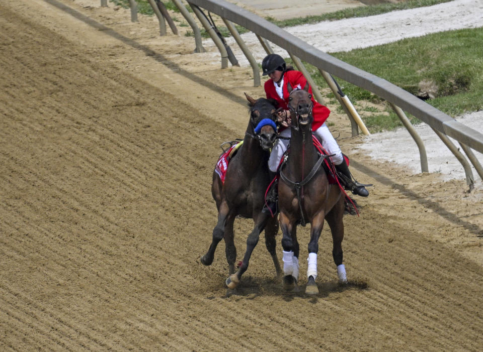 An outrider intercepts Havnameltdown after the horse lost it's rider and suffered a catastrophic leg injury during the sixth race prior to the 148th running of the Preakness Stakes horse race at Pimlico Race Course, Saturday, May 20, 2023, in Baltimore. The Bob Baffert trained horse was euthanized on the race track. (Jerry Jackson/The Baltimore Sun via AP)