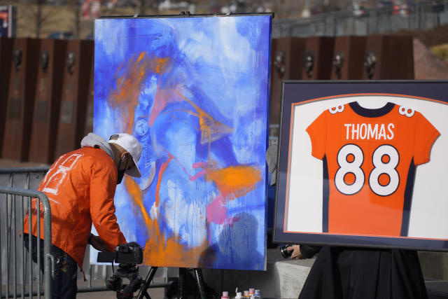 Nike NFL Denver Broncos #88 Demaryius Thomas Salute To Service