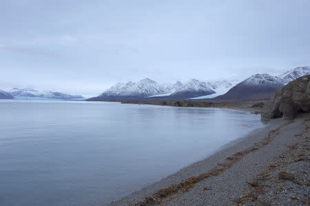 A view shows a beach at the Ny-Aalesund research station on the Arctic archipelago of Svalbard, Norway, September 20, 2016. REUTERS/Gwladys Fouche/Files