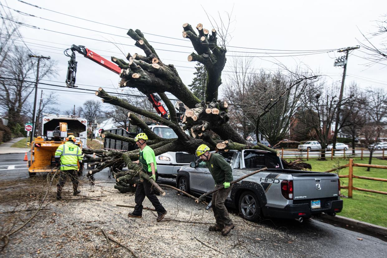Workers clear debris from a tree that fell on a car on Stanley Ave. in Mamaroneck, N.Y. Dec. 18, 2023 after heavy rains and winds caused flooding and power outages throughout the area. The intense storm battered much of the East Coast.