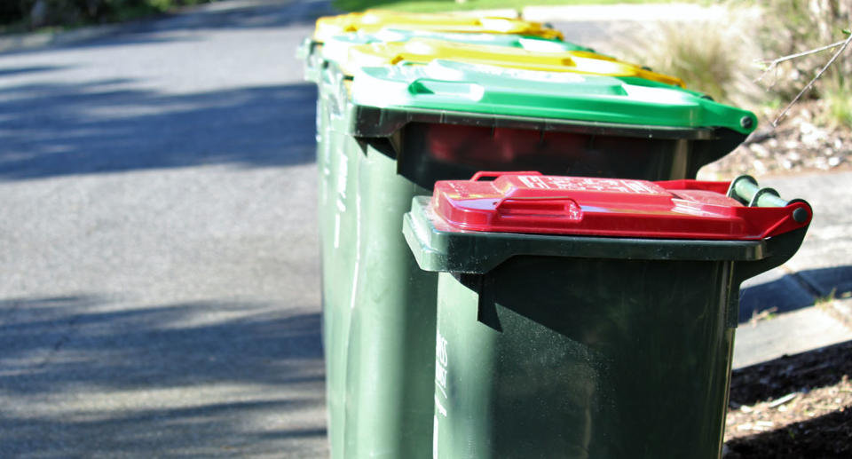 Wheelie bins on the side of the road.