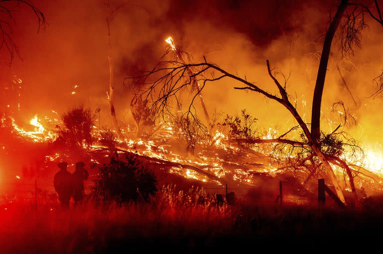 El cambio climático está secando la vegetación, haciendo que los paisajes sean más inflamables y aumentando así la probabilidad de que se produzcan incendios más grandes y peligrosos