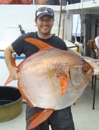 NOAA Fisheries biologist Nick Wegner holds an opah caught during a research survey off the California Coast in this undated handout photo provided by NOAA Fisheries/Southwest Fisheries Science Center. REUTERS/NOAA Fisheries/Southwest Fisheries Science Center/Handout