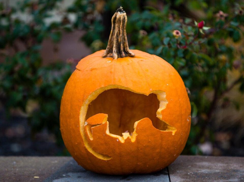 Carve your favorite design into a pumpkin during Potato Creek's Halloween Happenings on Oct. 22.