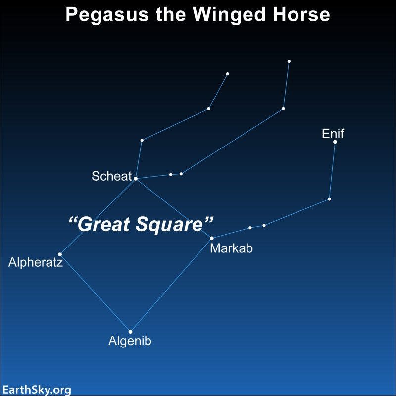 The constellation Pegasus, one of the oldest constellations in the night sky, also is a sure sign of autumn.