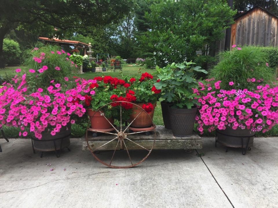 Five gardens will be on the self-guided Kenosha Secret Garden Walk on July 9. The event is put on by the Four Seasons Garden Club.