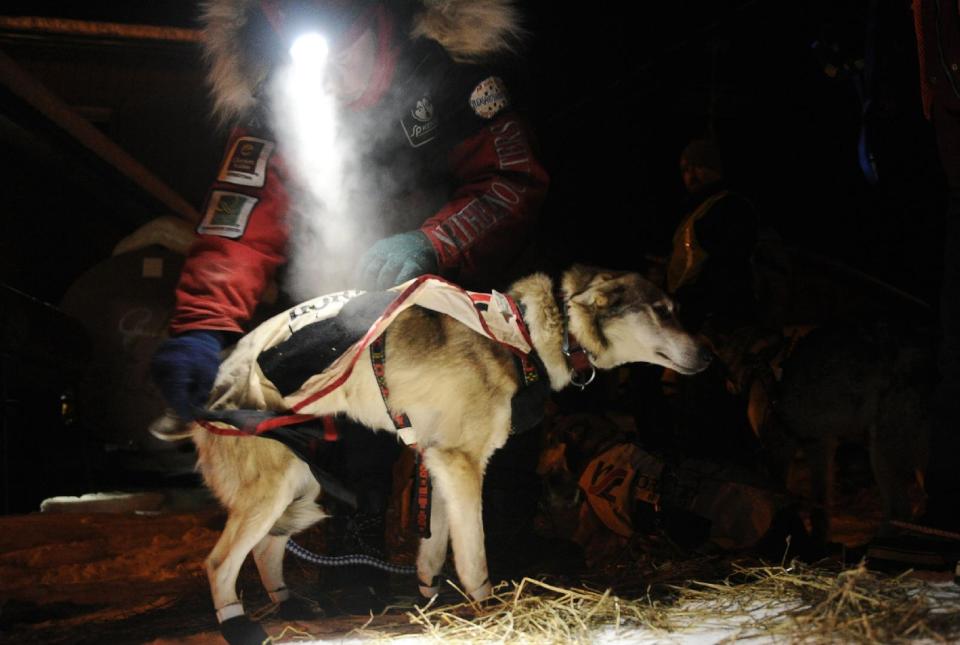 Musher Aliy Zirkle, from Two Rivers, AK, prepares her dog team to leave the Takotna checkpoint at 9 p.m. after a 24-hour layover during the Iditarod Trail Sled Dog Race on Wednesday, March 5, 2014. Zirkle is attempting to become only the third woman ever to win the nearly thousand-mile race across Alaska and the first since the late Susan Butcher won her fourth title in 1990. (AP Photo/The Anchorage Daily News, Bob Hallinen)