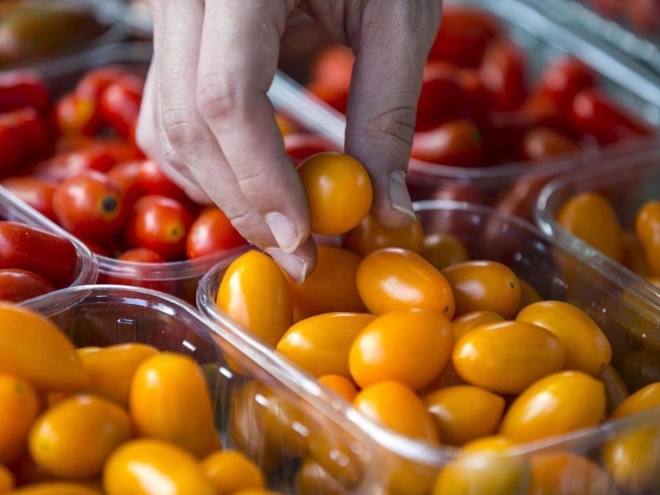 The panel said ‘baby steps’ are the best approach to getting people to switch to a plant-based diet (AFP/Getty)