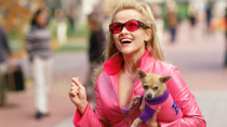 <p>LEGALLY BLONDE – Hard to believe that Elle Woods and Bruiser first hit our screens over 15 years ago. It’s as ageless as Reese Witherspoon herself. And just the tonic after a uber-dramatic EastEnders. </p>