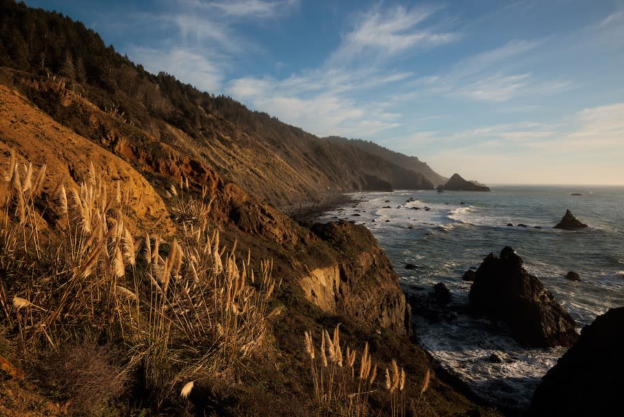 The Lost Coast Redwoods property near Rockport, California. Photo by Max Whittaker, courtesy of Save the Redwoods League.