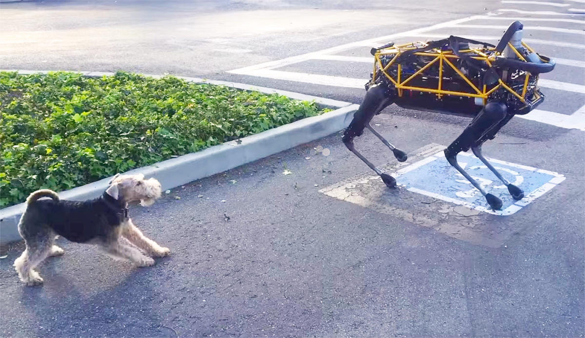 Watch Google's robot 'Spot' play with Andy Rubin's real dog