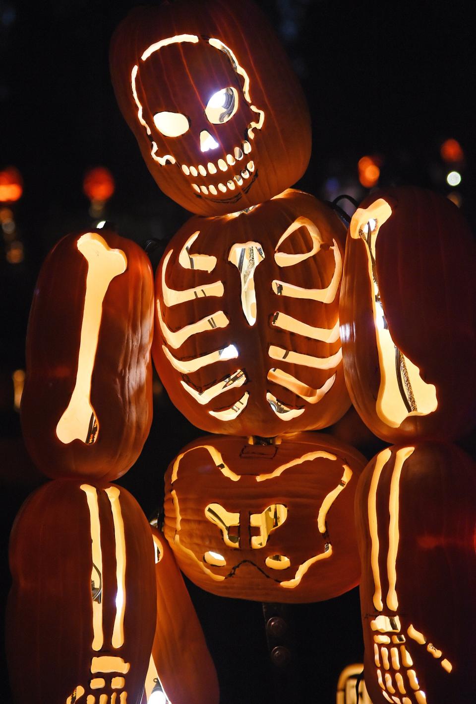 Multiple carved pumpkins create a skeleton at a display in California in 2014.