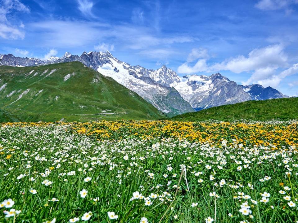 A view of central Swiss Alps's valley in the springtime.