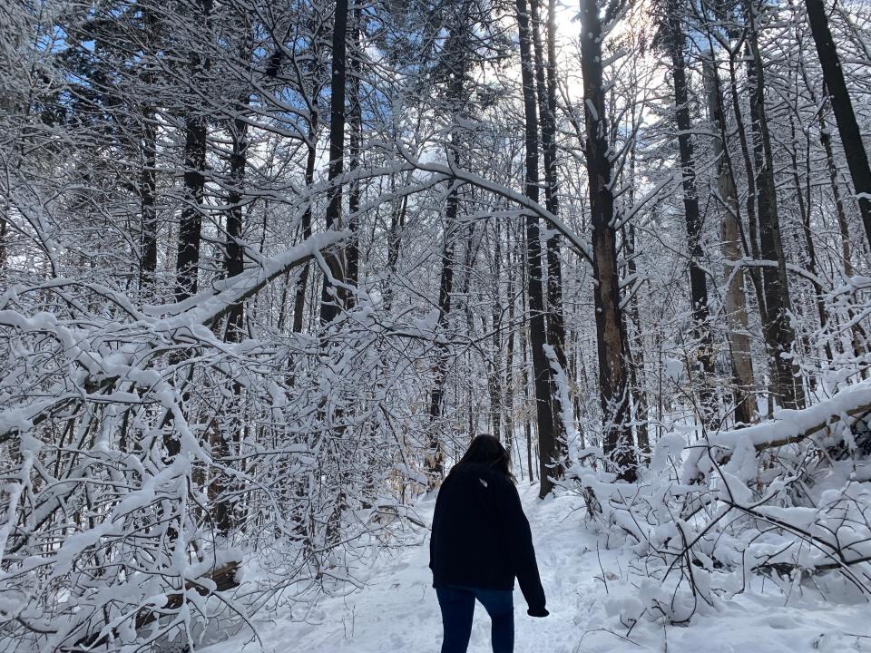 snowy forest in vermont, woman walking up hill in black coat