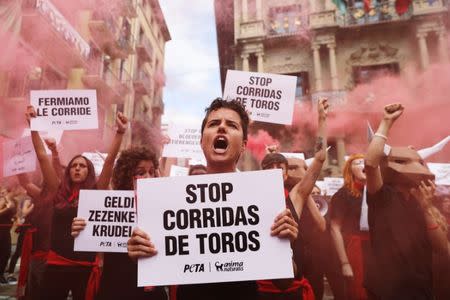 Animal rights protesters demonstrate for the abolition of bullfights a day before the start of the famous running of the bulls San Fermin festival in Pamplona, Spain July 5, 2018. REUTERS/Susana Vera