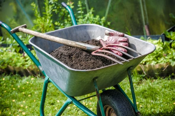 Pitch fork and gardening gloves in wheelbarrow full of humus soil