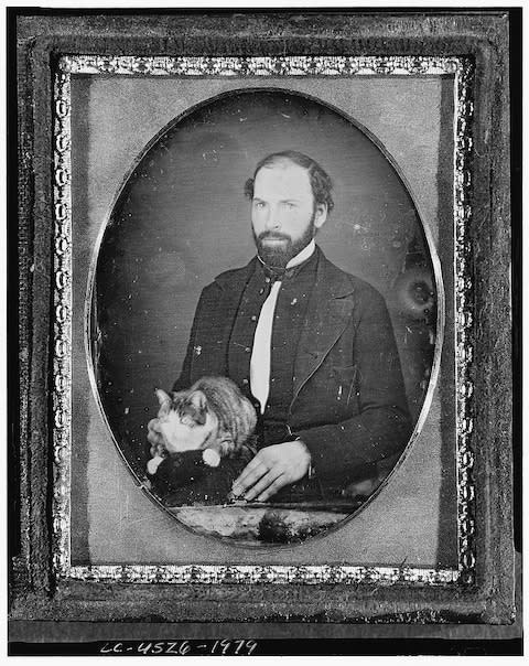 Believed to be the first photo of a cat, by an unknown photographer, taken 1840-1860 - Credit: Royal Photographic Society/Trov