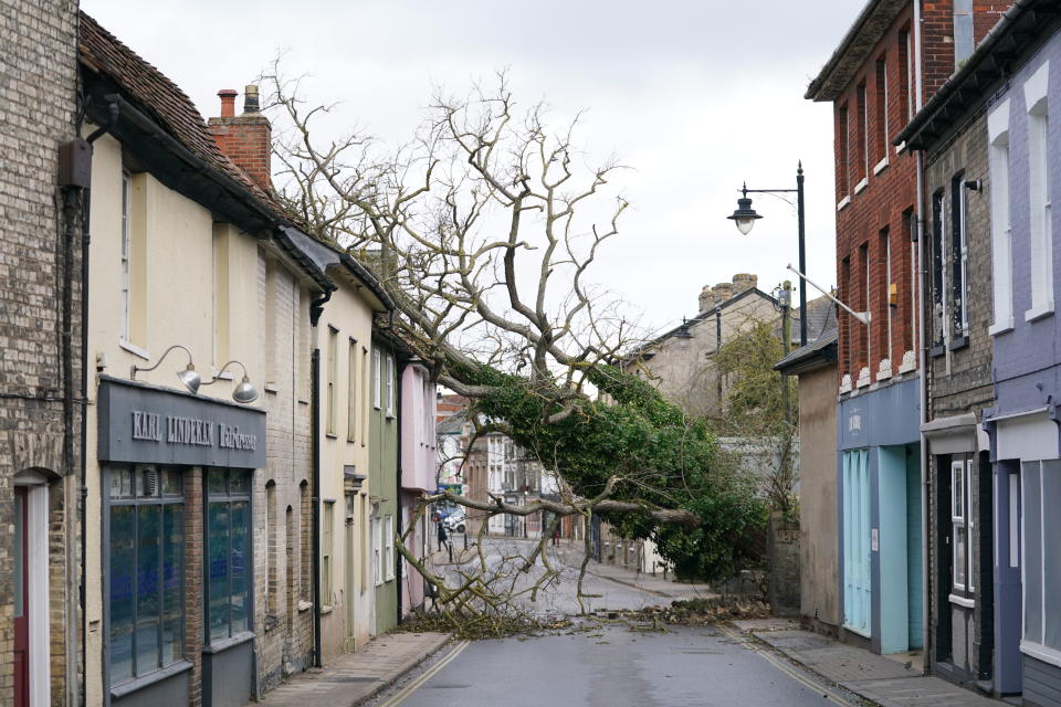 A fallen tree blocking a road in Sudbury, Suffolk. (PA)