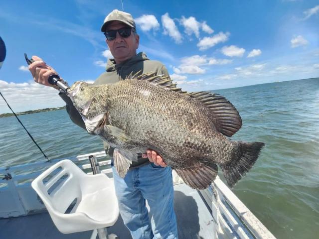 Flounder Fishing: species guide, charters and destinations - Tom's Catch