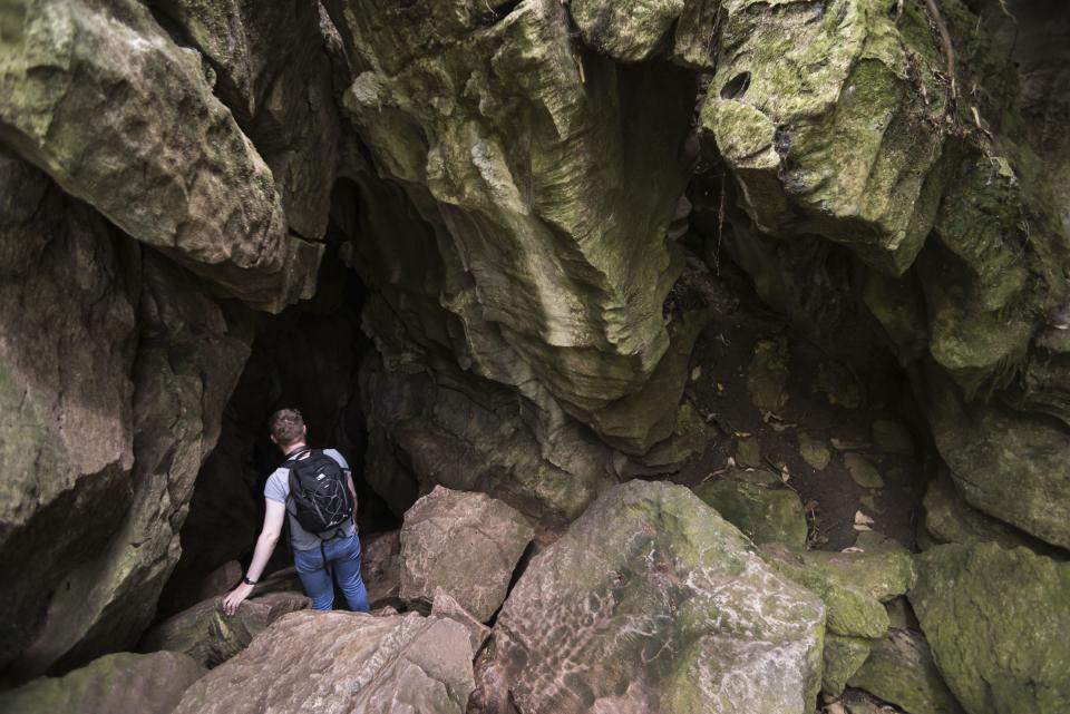 New Zealand's Abbey Caves are seen in Whangarei. / Credit: Matthew Williams-Ellis