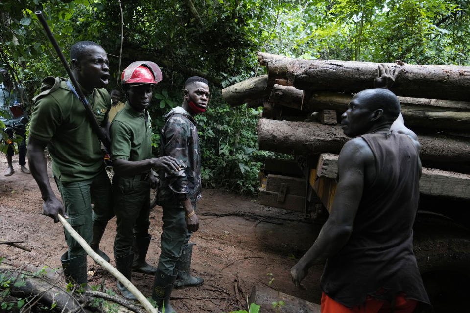 Sunday Abiodun, left, a former poacher turned forest ranger, argues with an illegal logger during a patrol inside the Omo Forest Reserve Nigeria on Monday, July. 31, 2023. Before becoming a ranger, Abiodun killed animals for a living, including endangered species. He is now part of a team working to protect Nigeria's Omo Forest Reserve, which is facing expanding deforestation from excessive logging, uncontrolled farming and poaching. (AP Photo/Sunday Alamba)