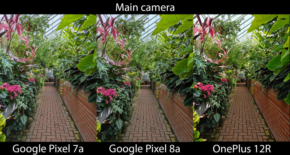 Comparing the Google Pixel 8a's camera with the Pixel 7a and OnePlus 12R