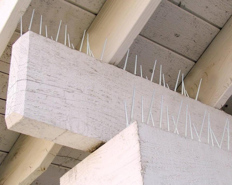 Bird spikes mounted on a porch ceiling to deter nesting.